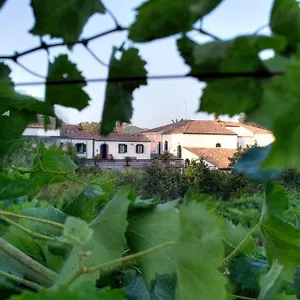 Hébergement de vacances Etna, Piedimonte Etneo